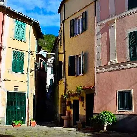 Maison 44 Master